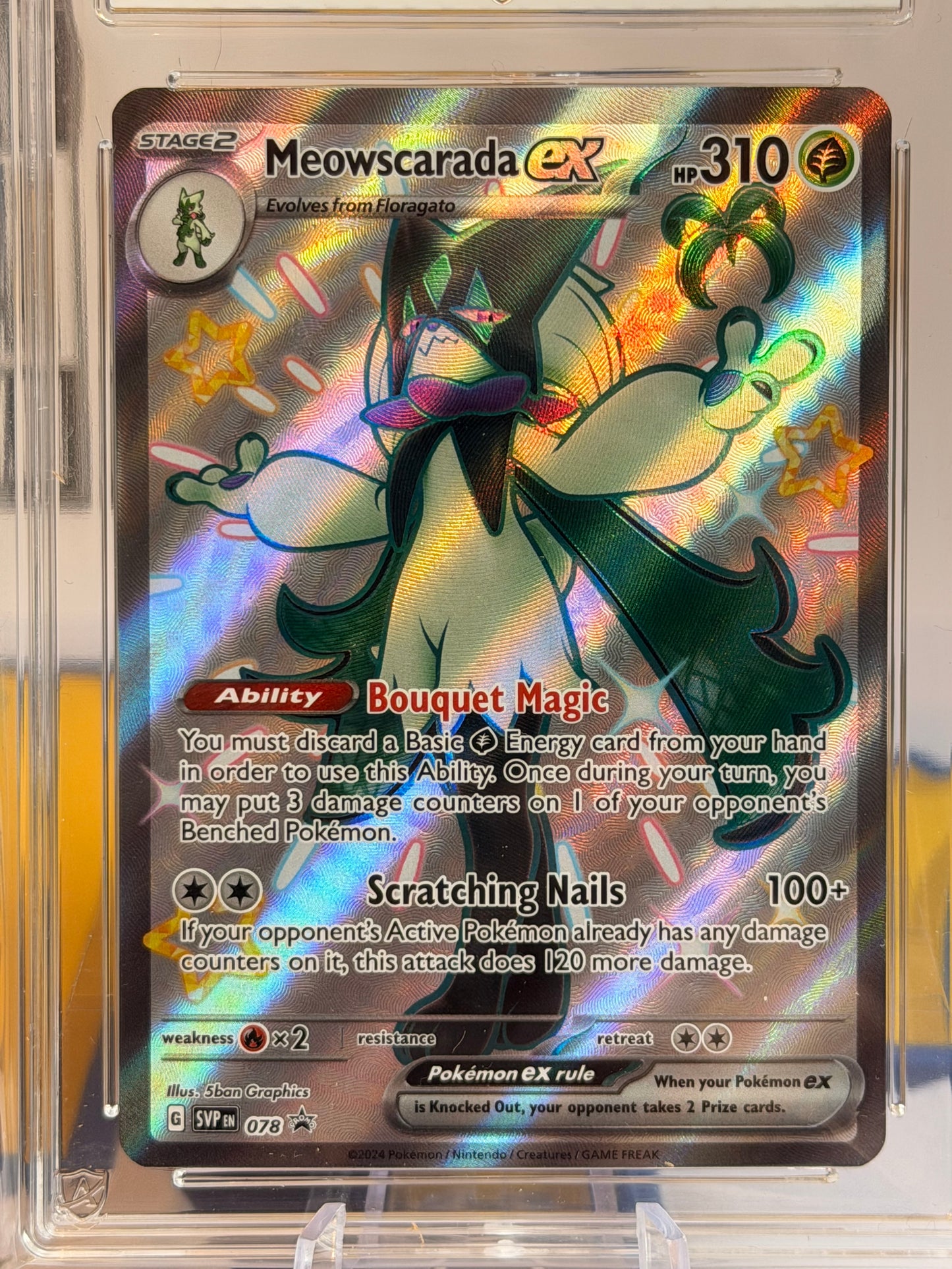 2024 Black Star Promo Sprigatito, Floragato & Meowscarada Evo line