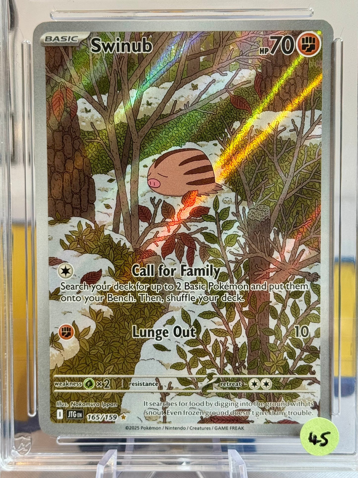 2025 Journey Together - Swinub - Gem Mint 10