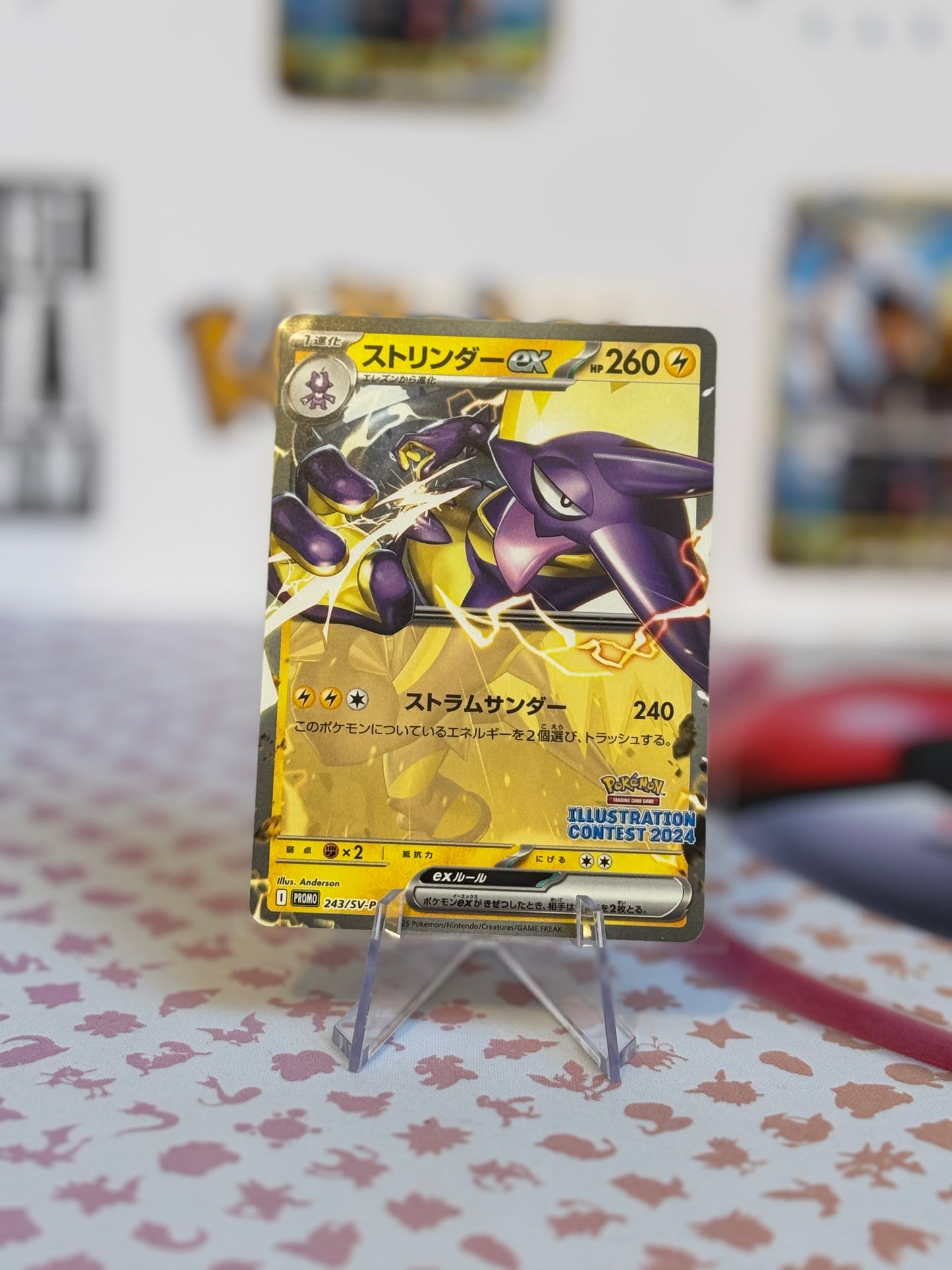 Illustration Contest 2024 Winner’s cards