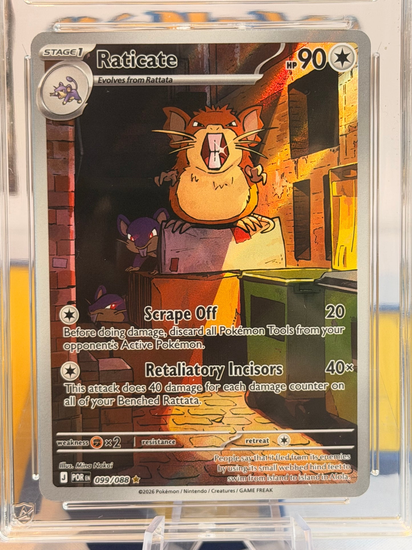 2026 Perfect Order - Raticate - Gem Mint 10