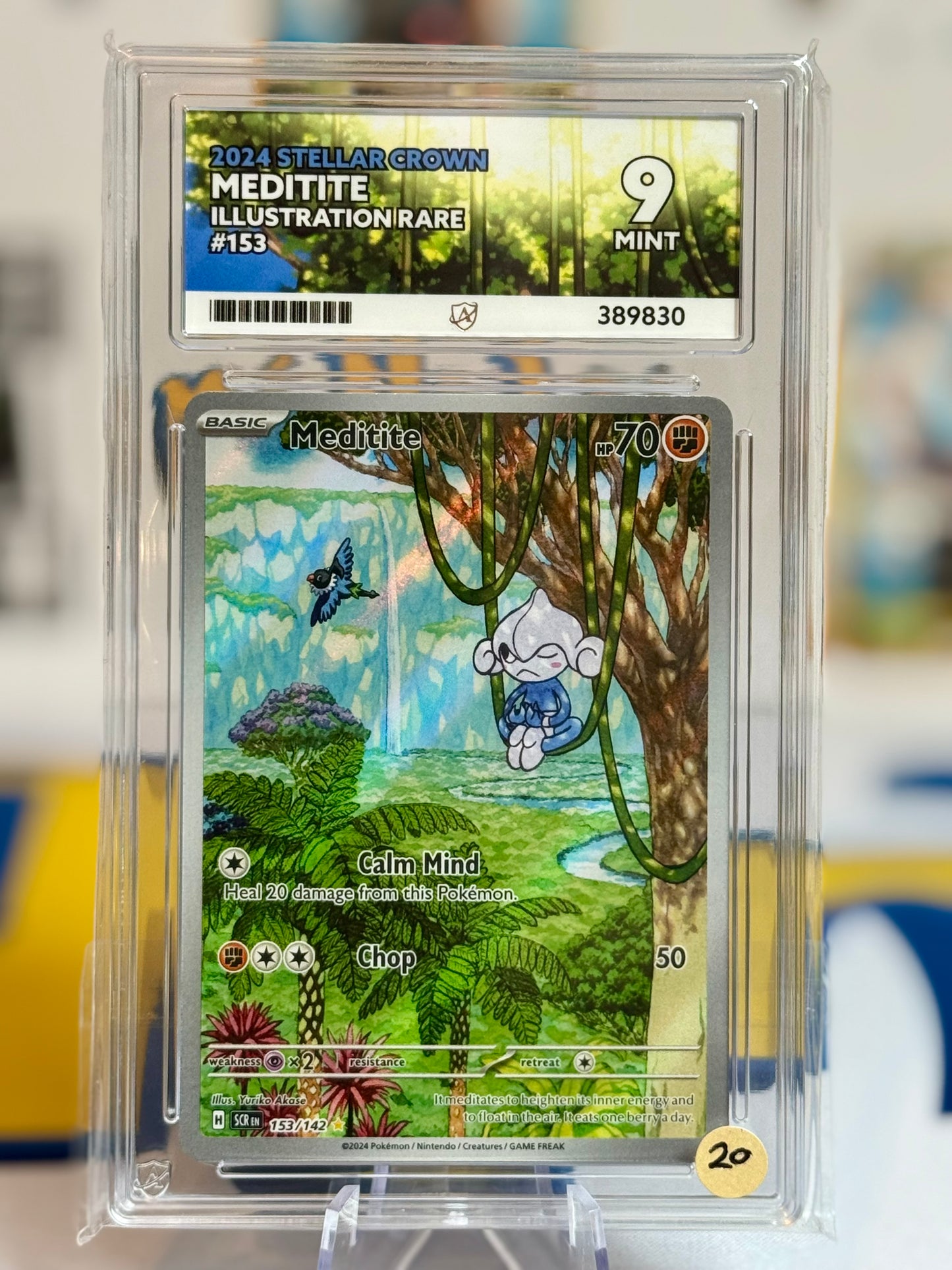 2024 Stellar Crown - Meditite - Mint 9