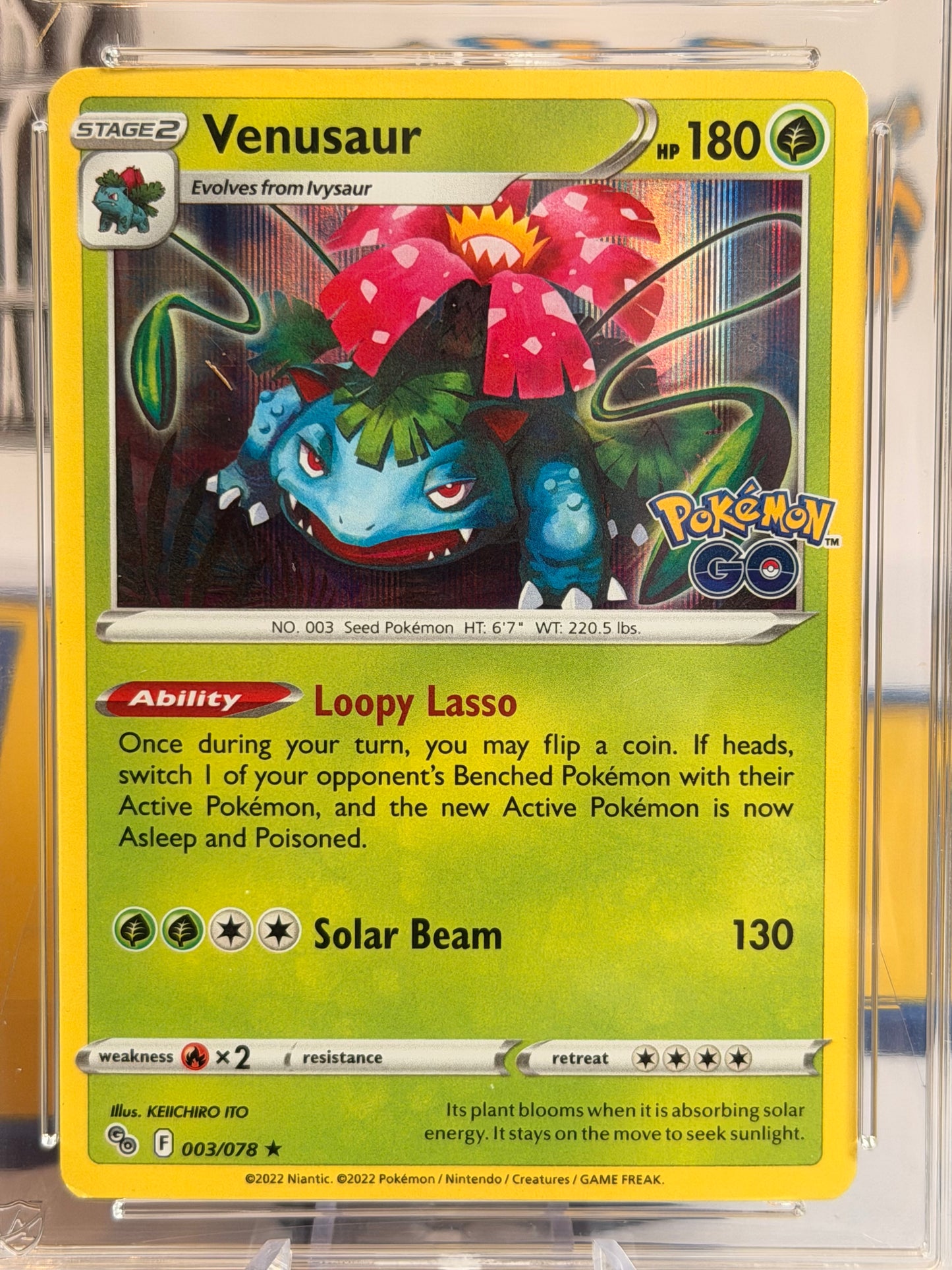 2022 Pokémon Go - Venusaur - Poor 1