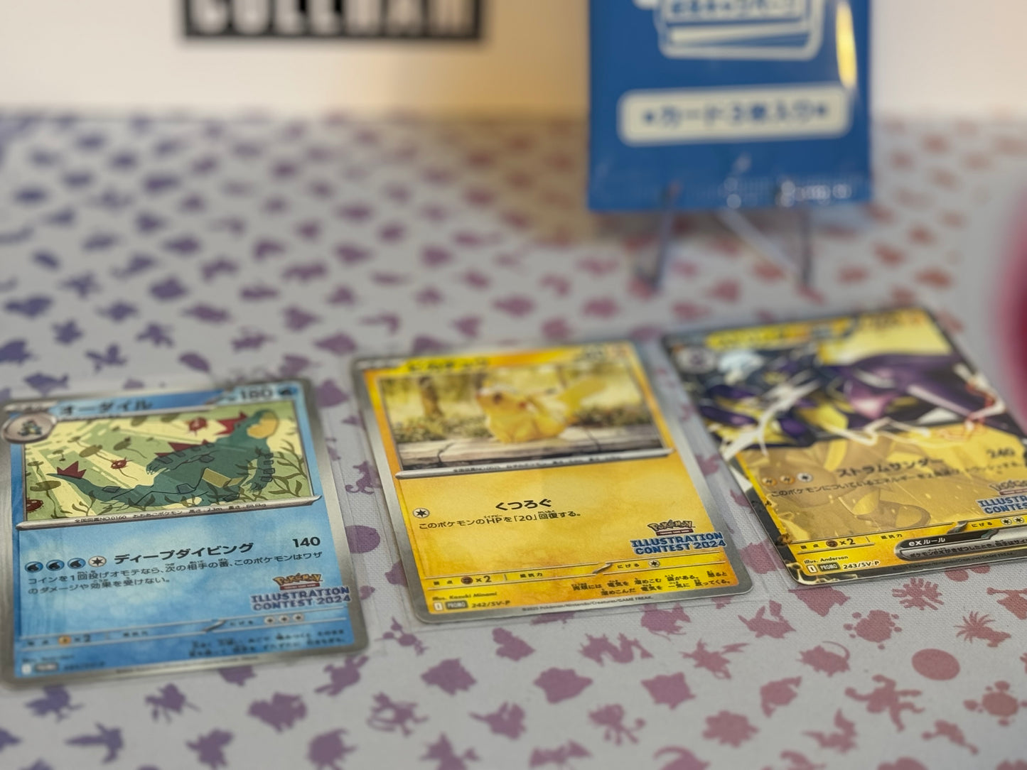 Illustration Contest 2024 Winner’s cards