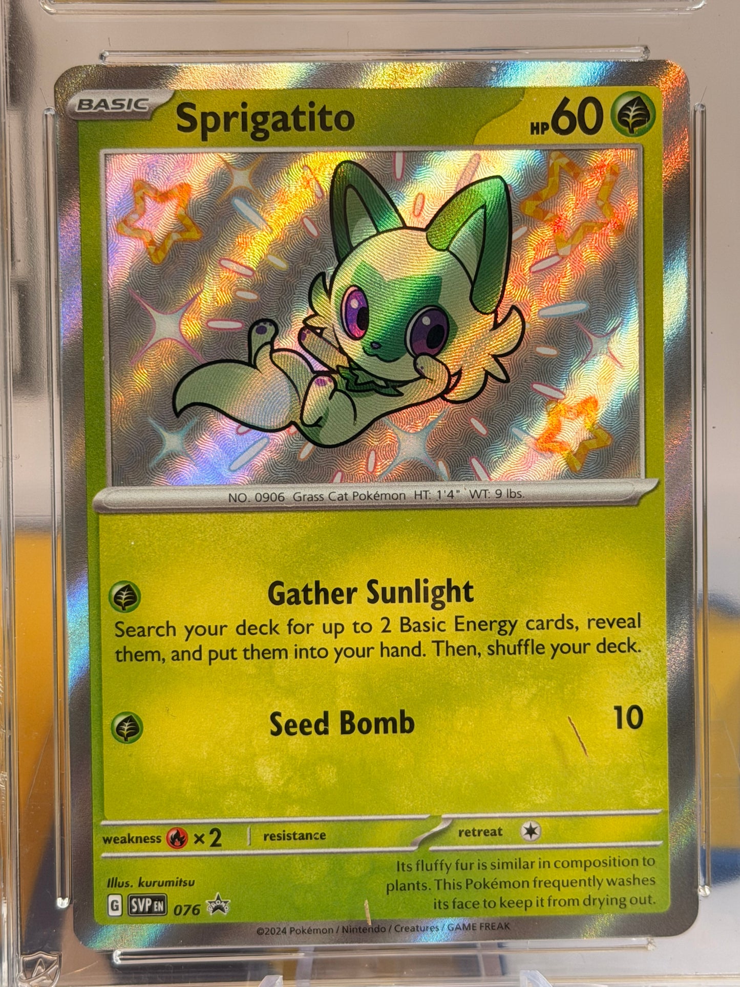 2024 Black Star Promo Sprigatito, Floragato & Meowscarada Evo line