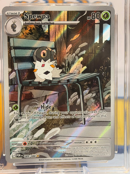 2026 Perfect Order - Spewpa - Gem Mint 10