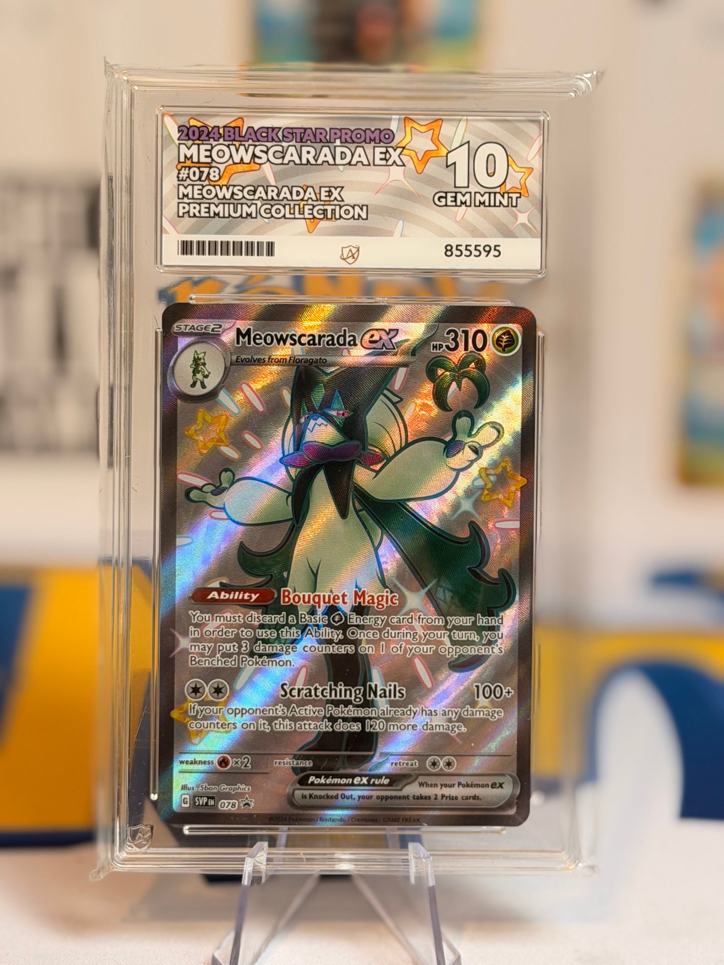 2024 Black Star Promo Sprigatito, Floragato & Meowscarada Evo line