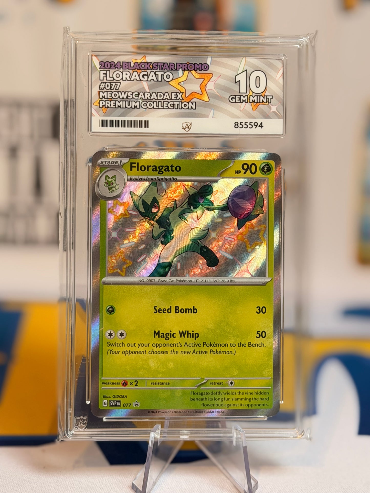 2024 Black Star Promo Sprigatito, Floragato & Meowscarada Evo line