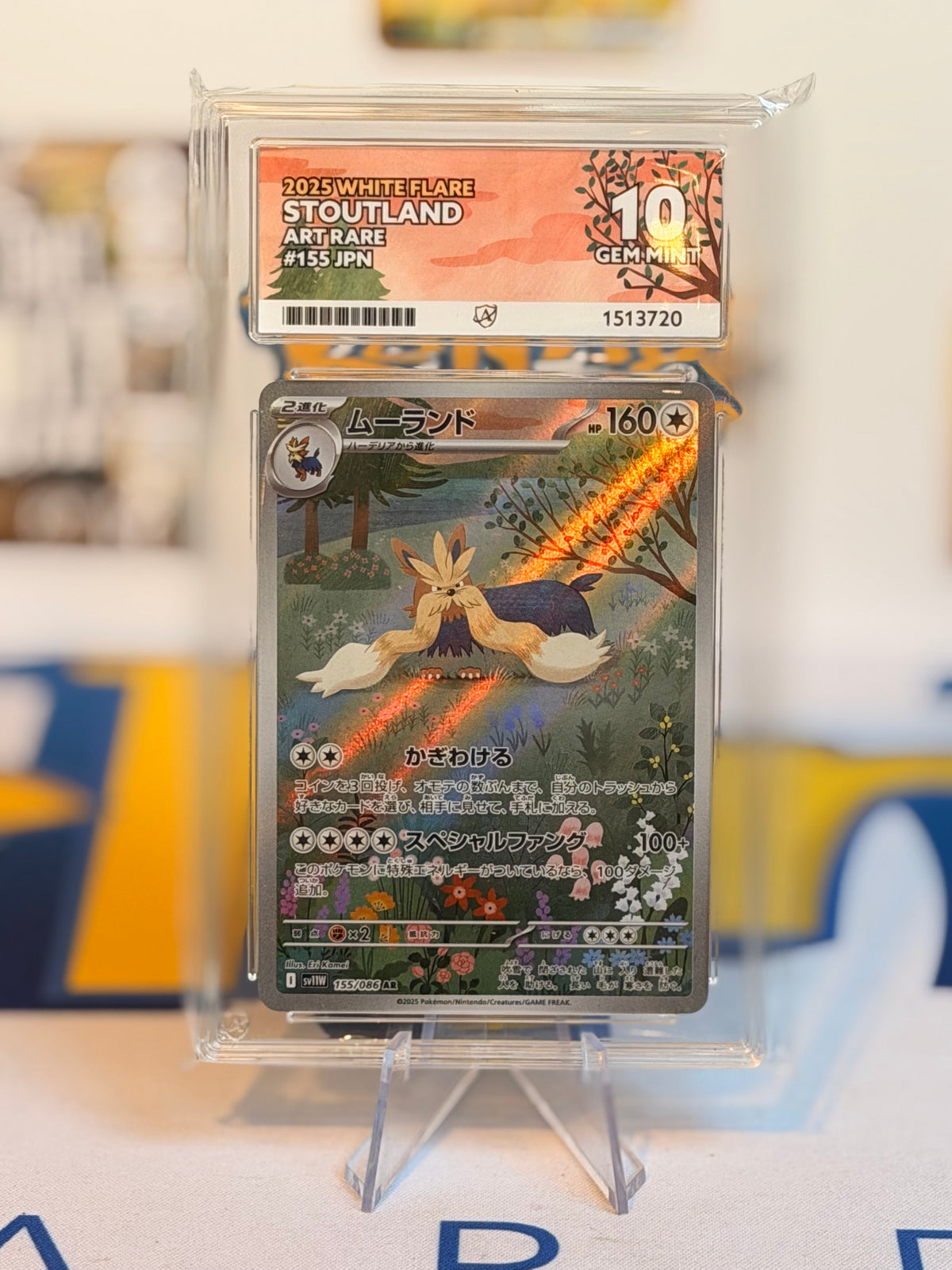 2025 White Flare - Stoutland - Gem Mint 10
