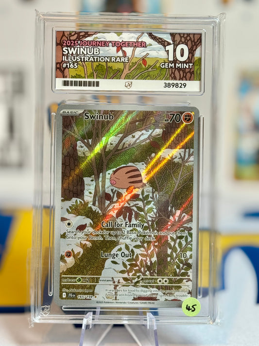 2025 Journey Together - Swinub - Gem Mint 10
