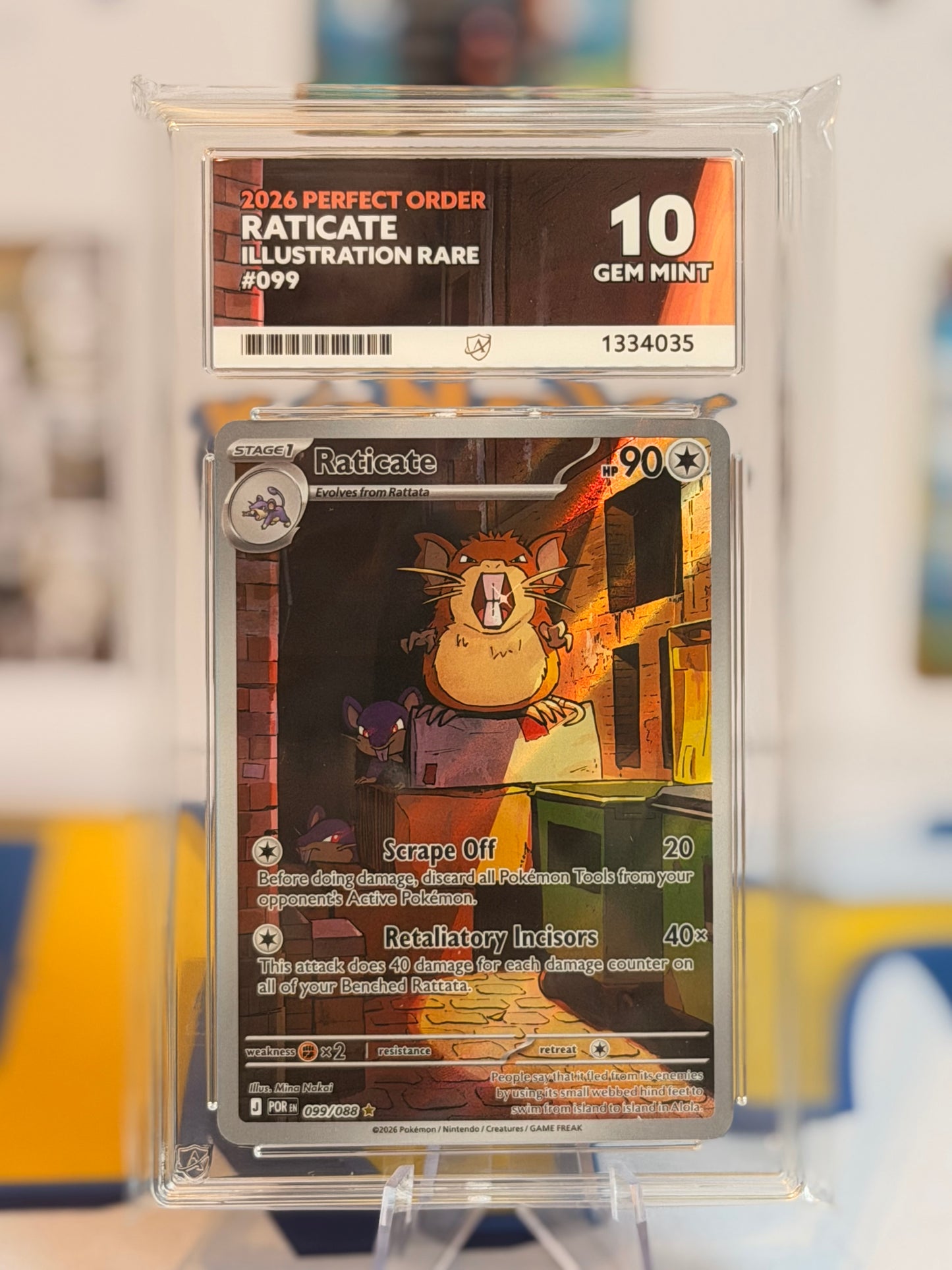 2026 Perfect Order - Raticate - Gem Mint 10