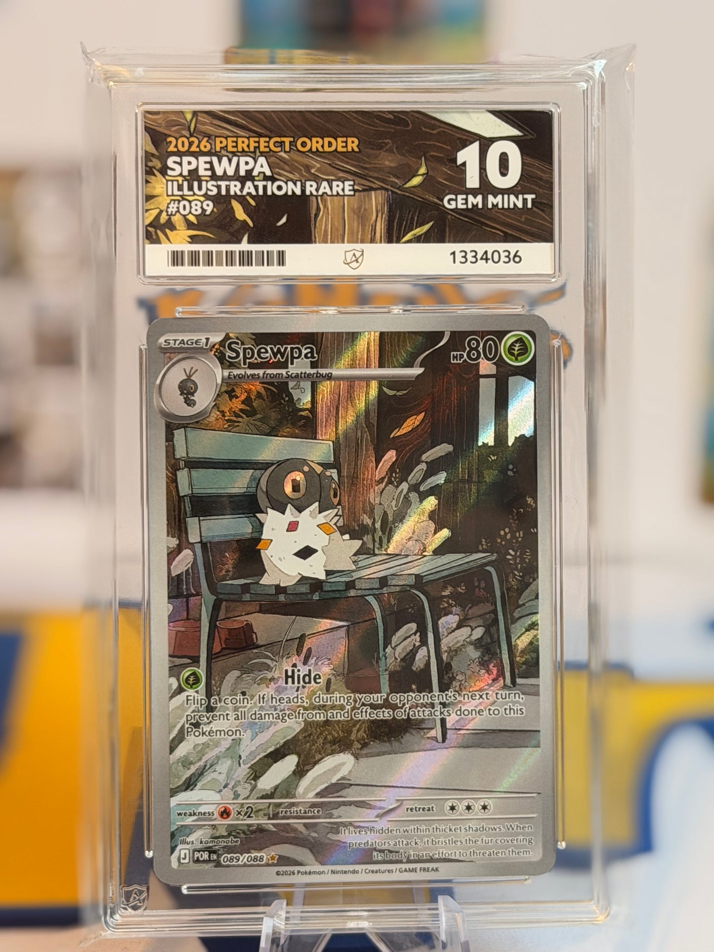 2026 Perfect Order - Spewpa - Gem Mint 10