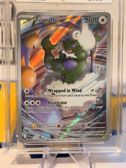 2025 Black Star Promo - Tornadus - Gem Mint 10
