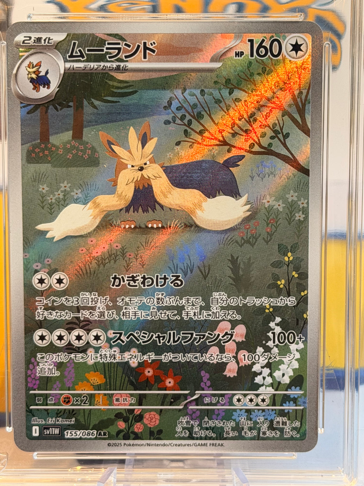2025 White Flare - Stoutland - Gem Mint 10