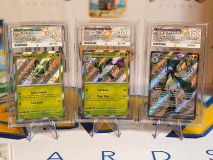 2024 Black Star Promo Sprigatito, Floragato & Meowscarada Evo line