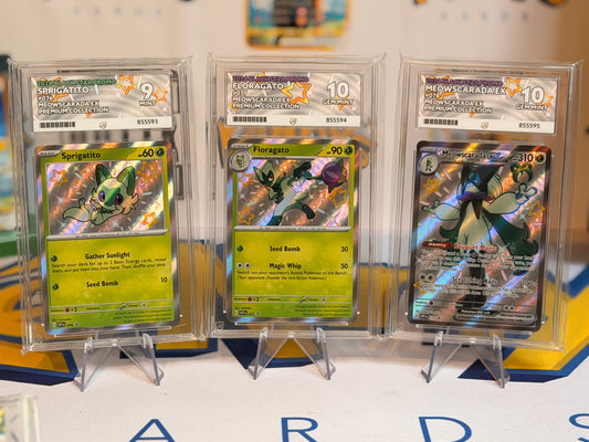 2024 Black Star Promo Sprigatito, Floragato & Meowscarada Evo line