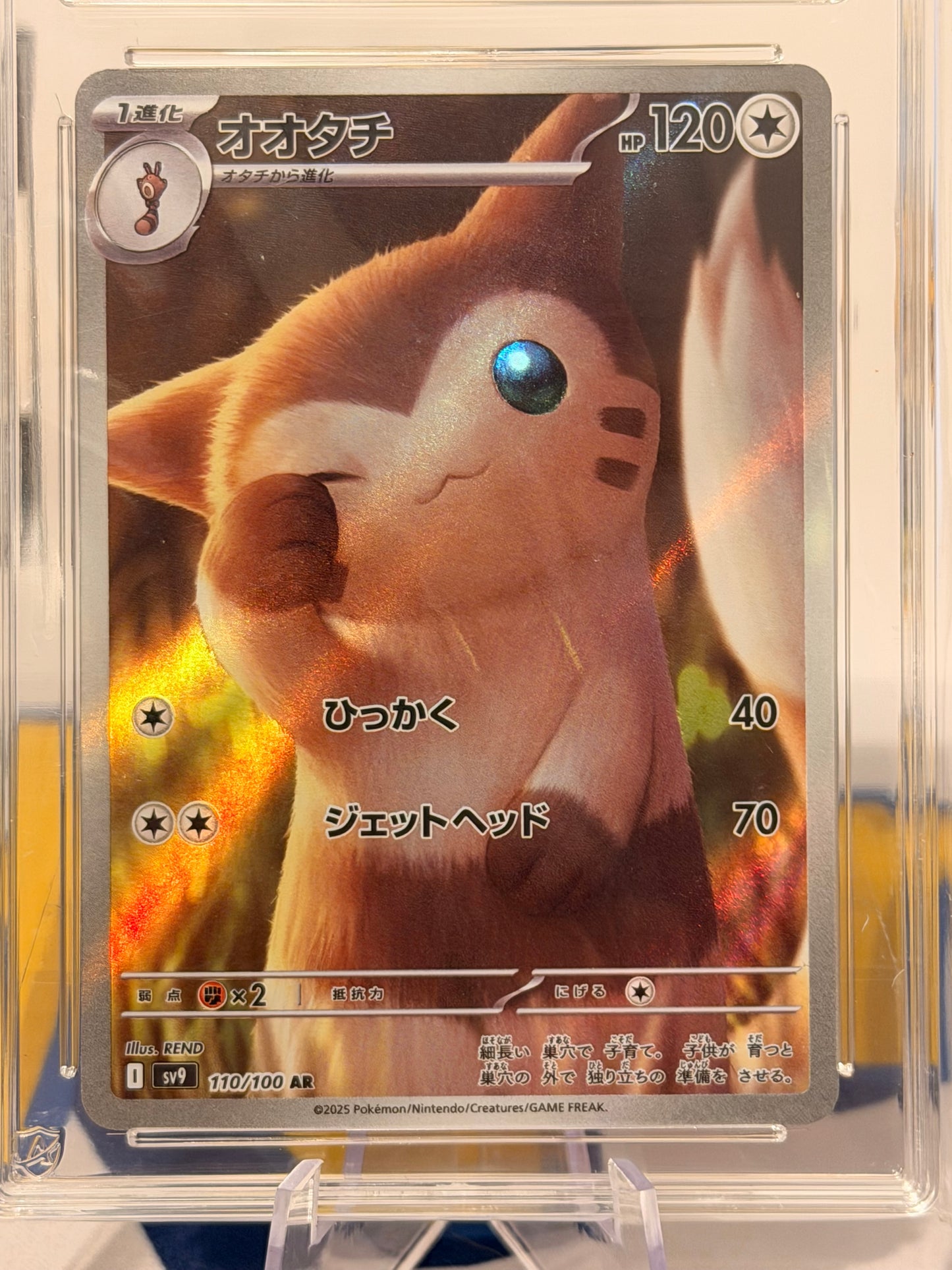 2025 Battle Partners - Furret - Gem Mint 10