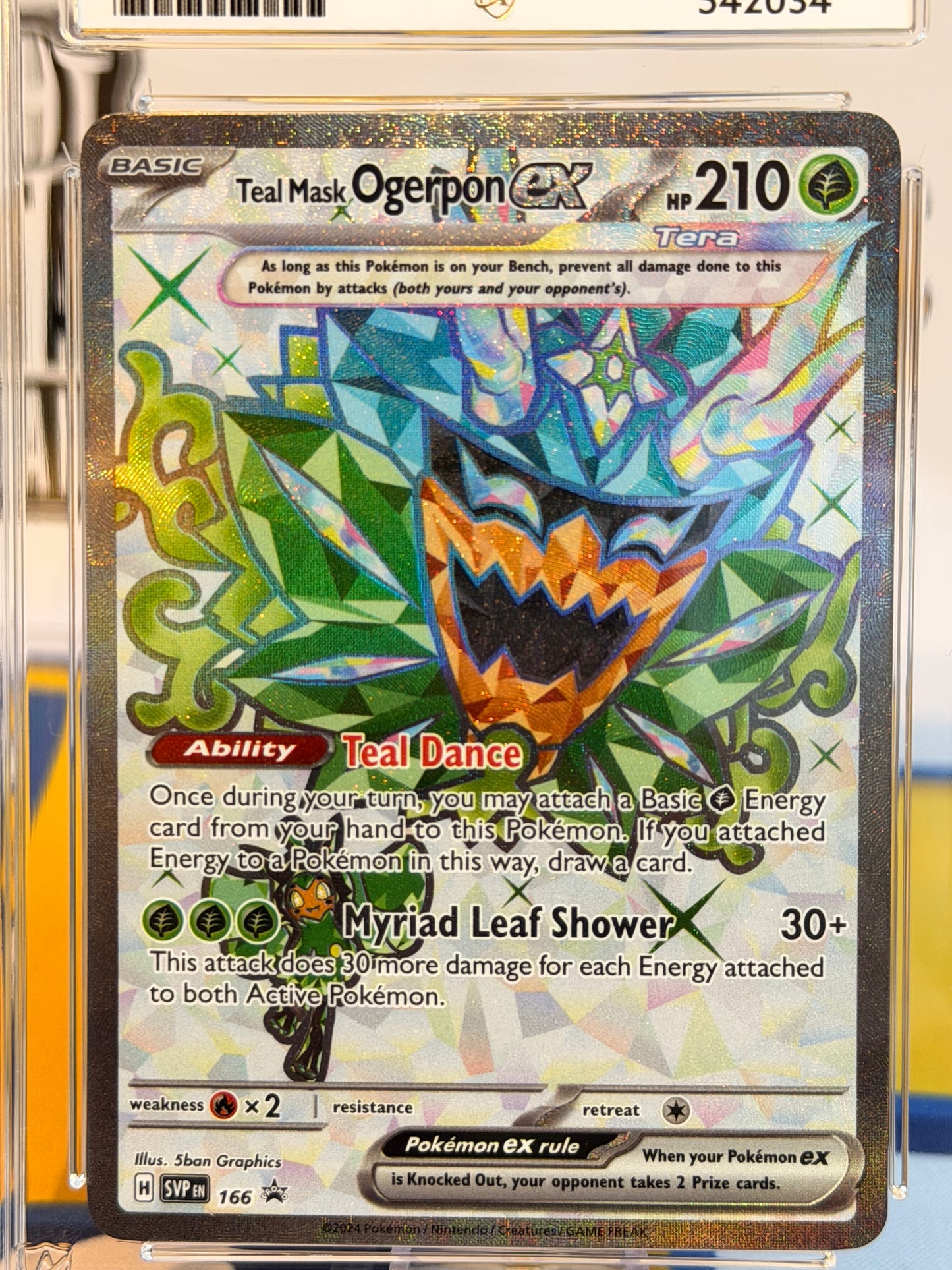2024 Black Star Promo - Teal Mask Ogerpon  - Gem Mint 10